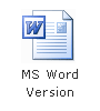 Curriculum Vitae in Word Document Format